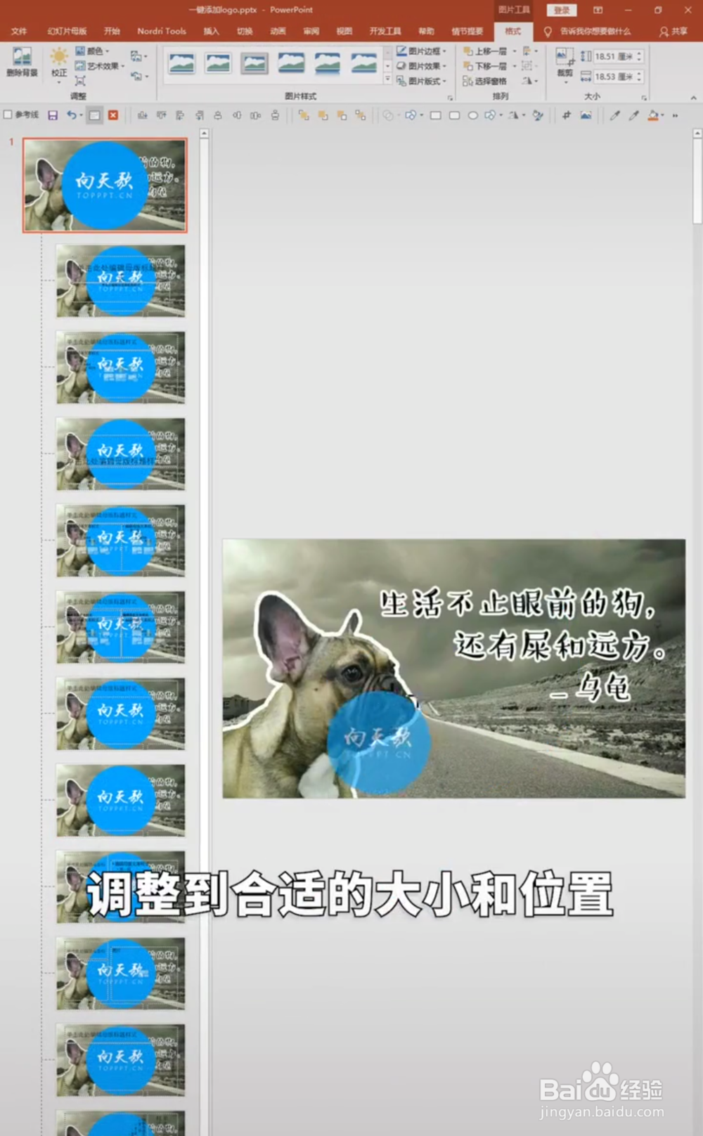 PPT中如何给图片批量加LOGO？