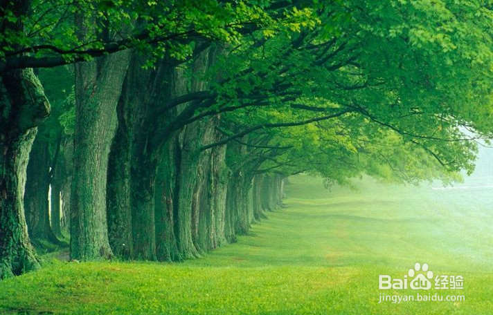 教你如何放松自己的心情