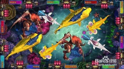 网络街机捕鱼游戏技巧