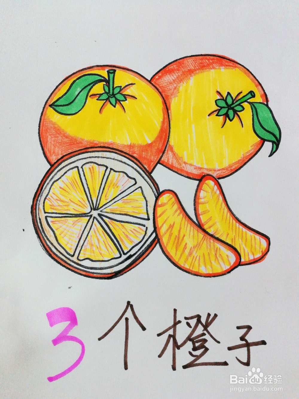 手绘三个橙子卡通绘本插图