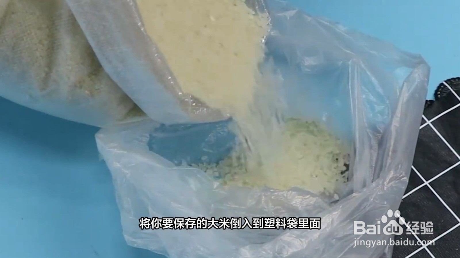 米怎么存放不生虫子