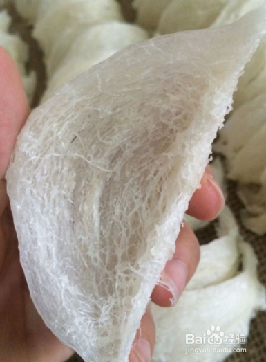 炖燕窝的方法,让燕窝不再化成水