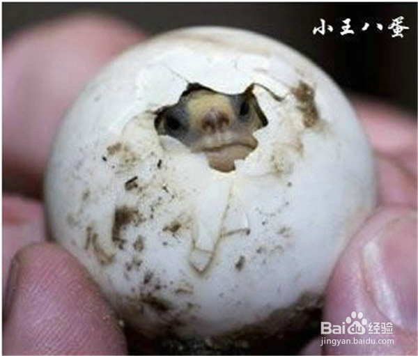 如何提升你的幽默感？