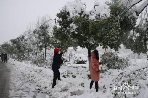 4月份下大雪了怎么办?
