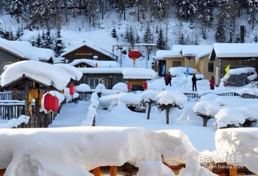 去一次雪乡大概多少钱