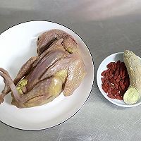 清炖老鸽汤怎么做？