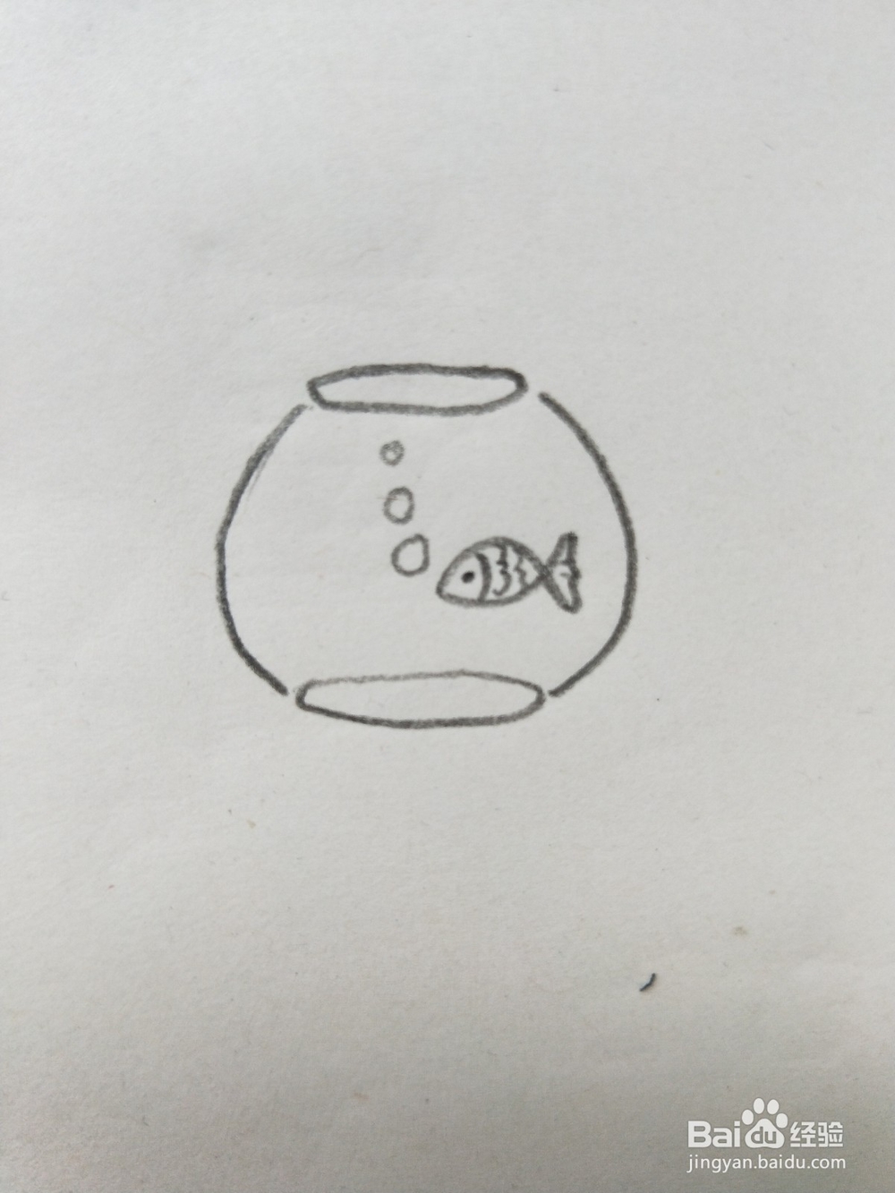鱼缸的简笔画教程