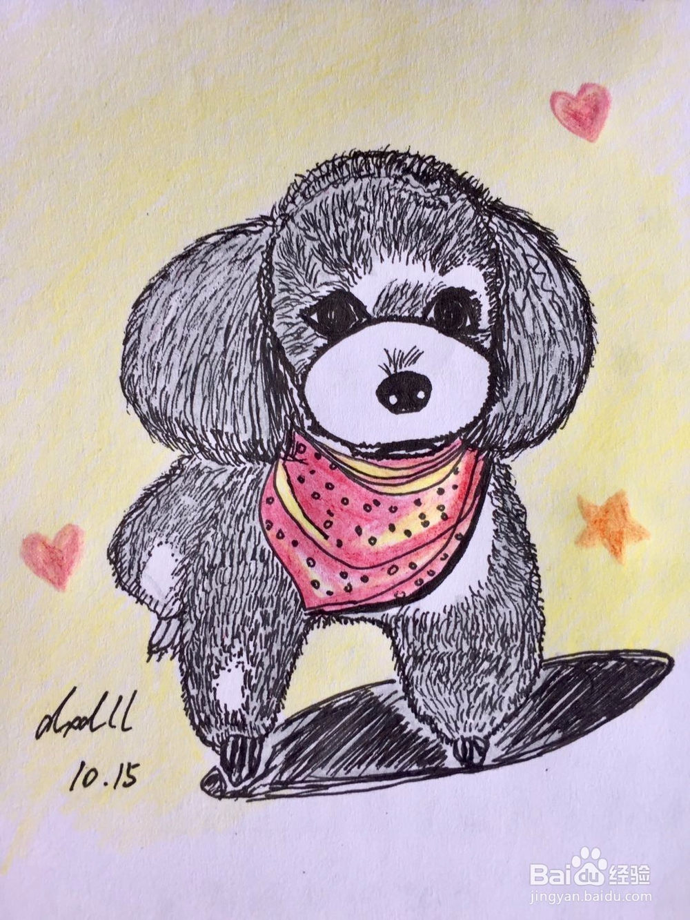 茉莉彩铅手绘之萌宠泰迪