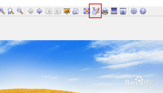 XnViewMP怎么在图片上写字