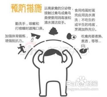 H7N9禽流感预防措施
