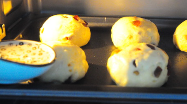 蜜枣小面包的做法