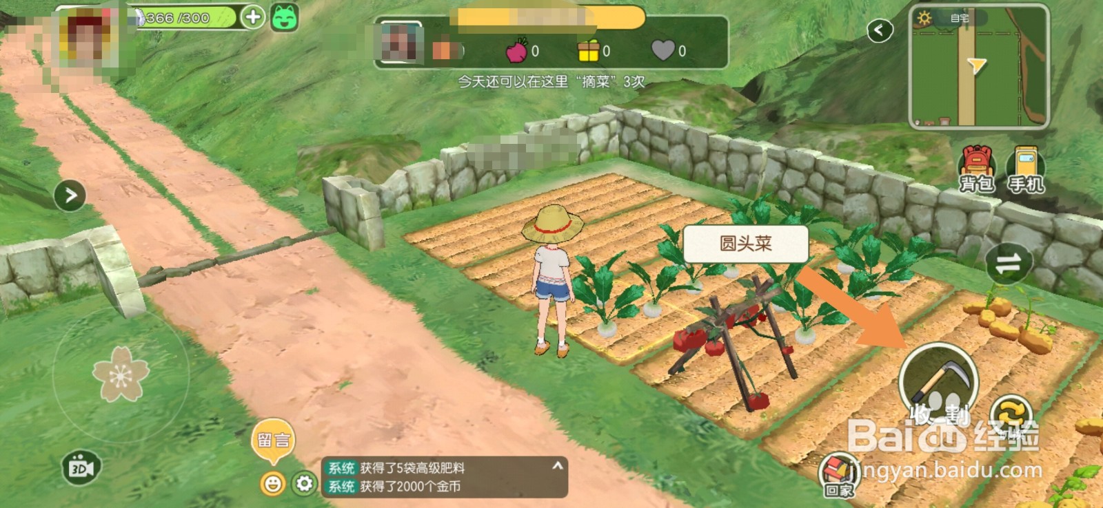 小森生活怎么偷菜