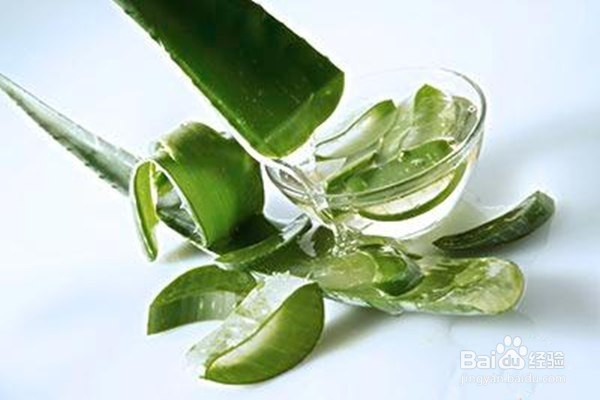 芦荟胶的10种用法