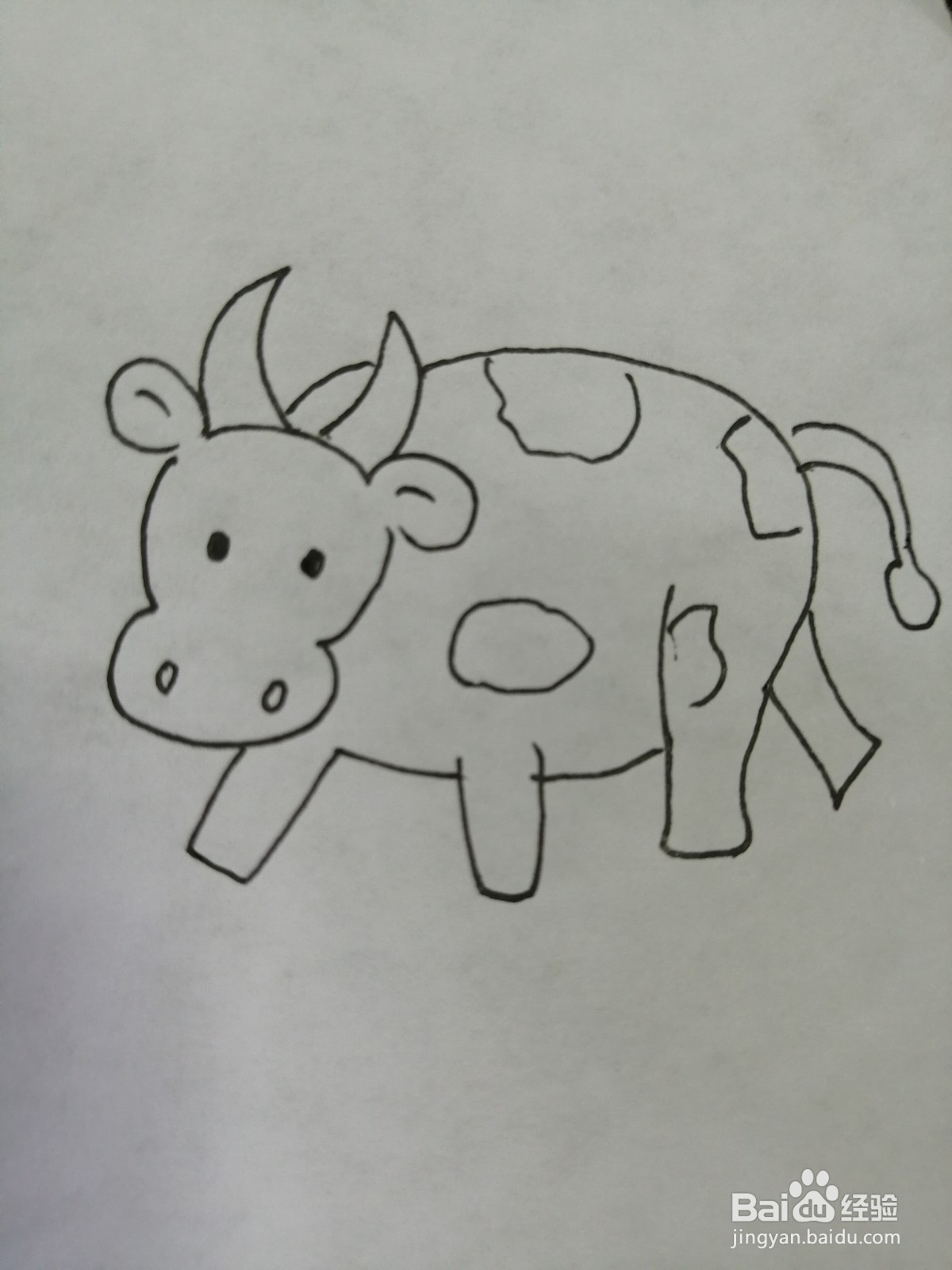 可爱的小牛怎么画