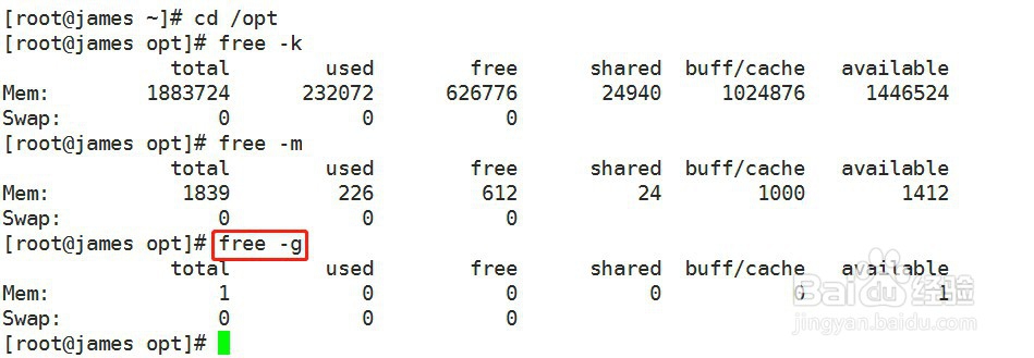 linux如何查看内存命令