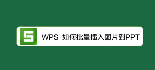 <b>WPS教程：如何在PPT中批量插入修改图片</b>