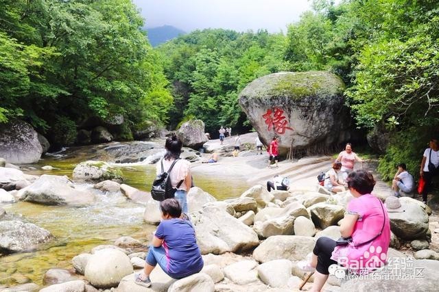 这才是云雾山游玩的正确方式