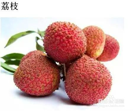 五月最该吃的应季水果，送给爱吃水果的你！