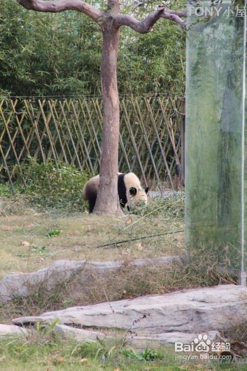 新手做土司必须要了解的5个要点---旅游外出给我们补充体力的芝麻黄油土司