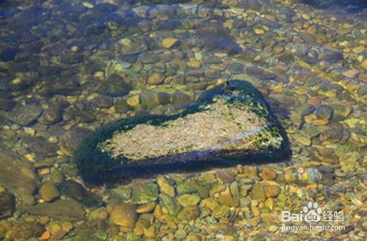 2017年高考如何低分上名校,解读提前批的奥秘