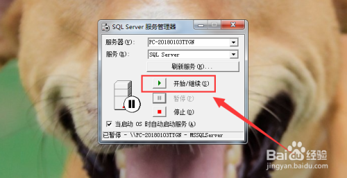 如何开启（启动）SQL server 服务管理器？