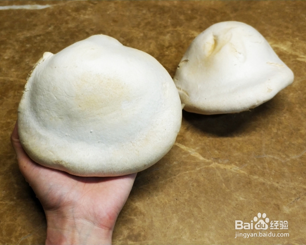 新手简单做香白灵菇