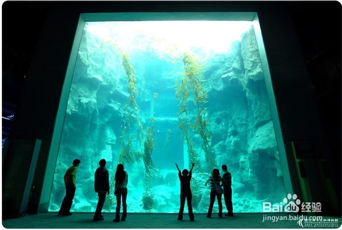 台湾不可错过的十大景点