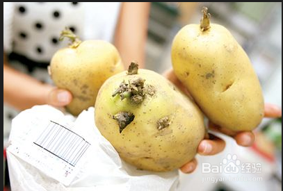 食物中毒的症状