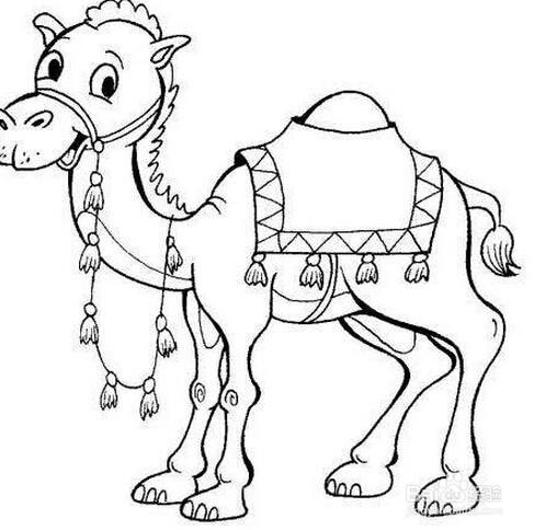单峰骆驼简笔画