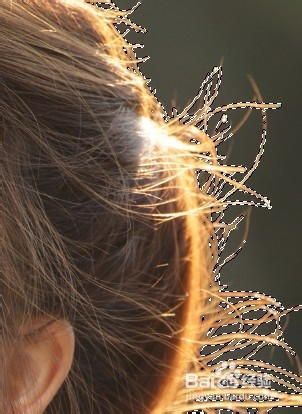 能轻易把发丝选取的PS精确抠图技巧