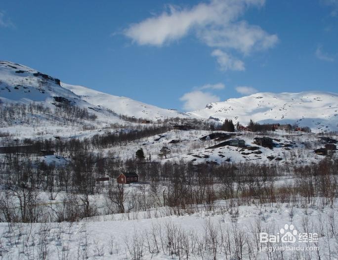 元旦假期注意事项