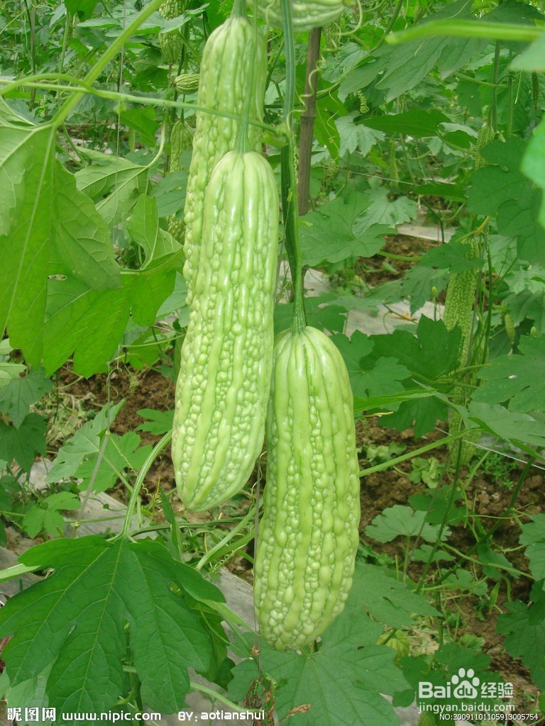 快速除痱子-就这么简单