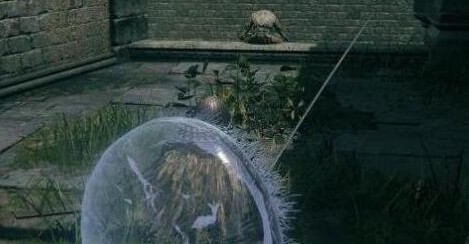 艾尔登法环拉妮支线任务攻略