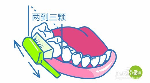 宝宝正确的刷牙方法是什么