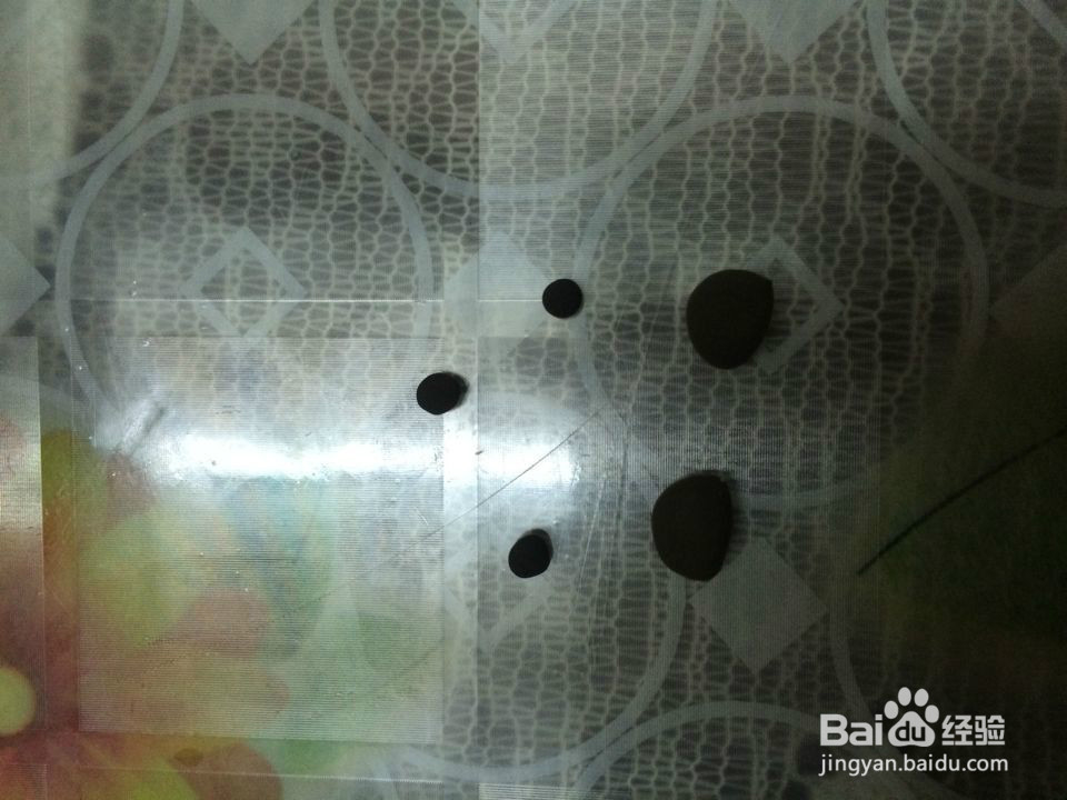 可爱七彩的刺猬