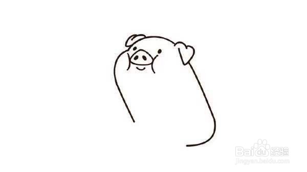 小猪的简笔画教程