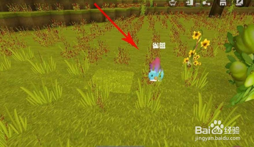 迷你世界雀莺羽毛怎么获得