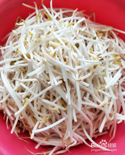 豆芽韭菜炒木耳的做法