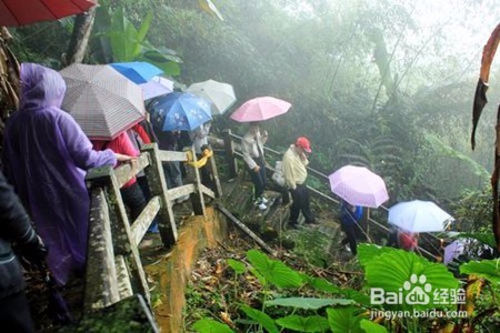 <b>旅游爬山时遭遇下雨，怎么办</b>