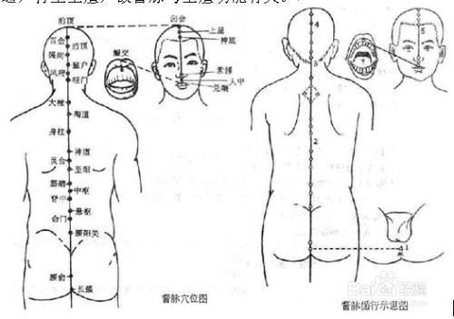 中医基础理论浅谈