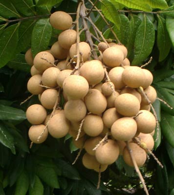 健康“加班”，焕颜新生