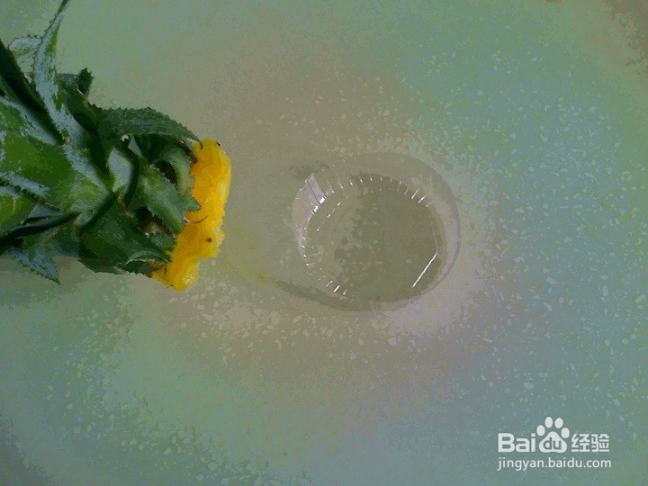 怎样将废弃的菠萝叶做成绿叶花