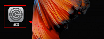 如何查询iphone手机的mac地址