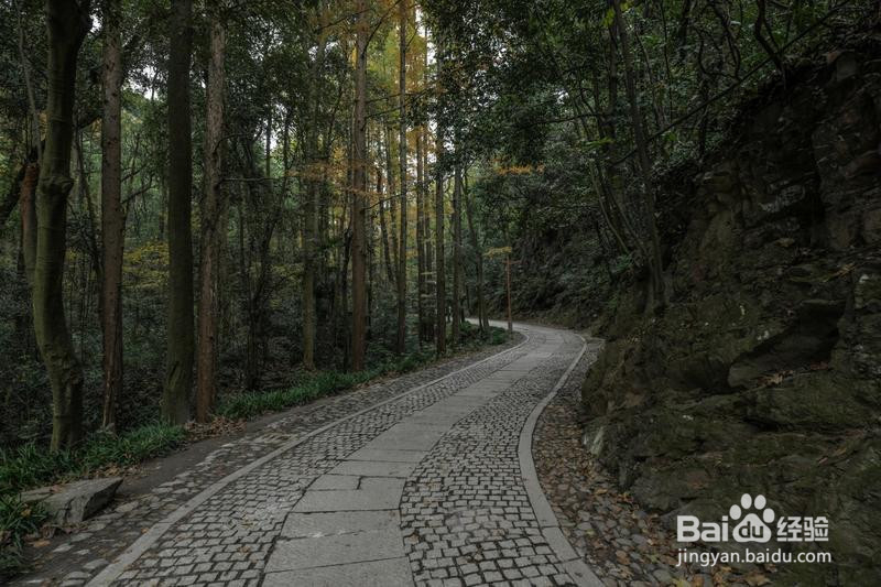 诗画浙江畅游杭州攻略1