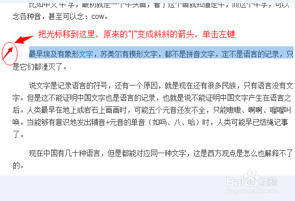 Word2007如何快速选中文本？？