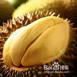 如何挑选新鲜美味的榴莲