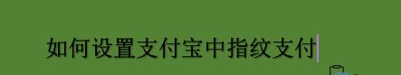 如何设置支付宝中指纹支付