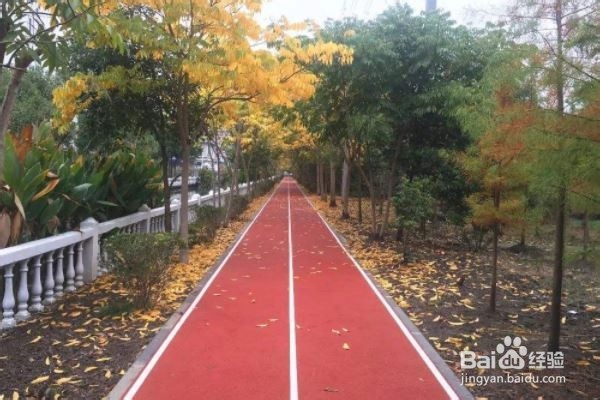 通过走路健身有哪些好处