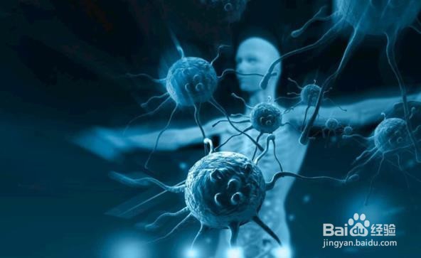 冥想如何影响你的身体和大脑？