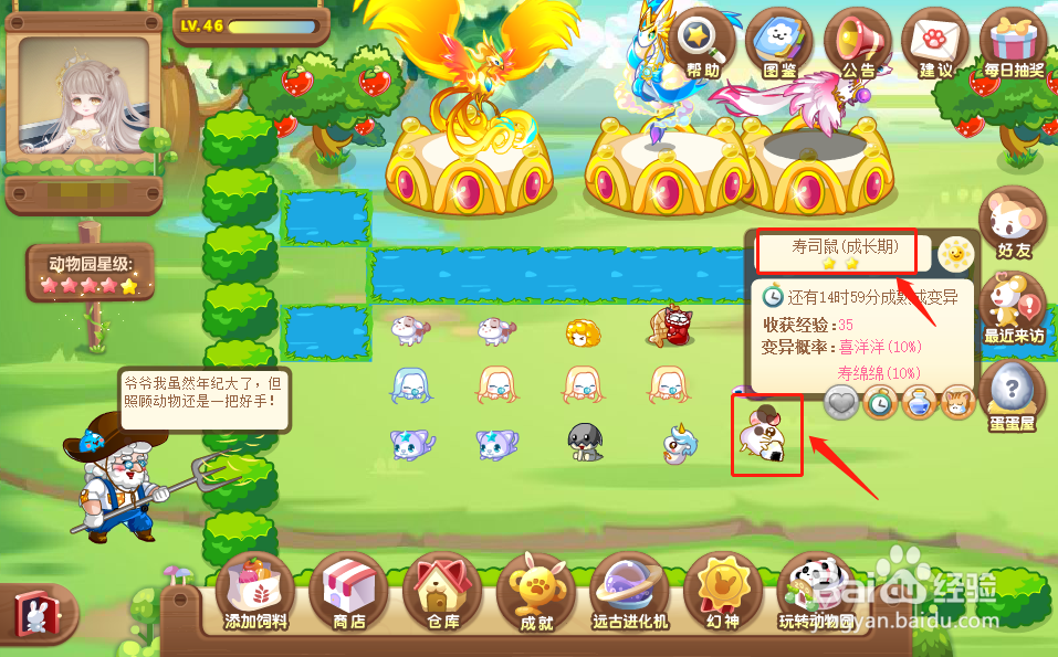 奥比岛中的寿绵绵怎么获得